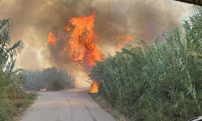 Καλαμάτα: Ξεκινά η καταγραφή ζημίων από την φωτιά στην Ασπροπουλιά