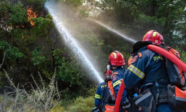 Ηλεία: Πυρκαγιά σε δασική έκταση