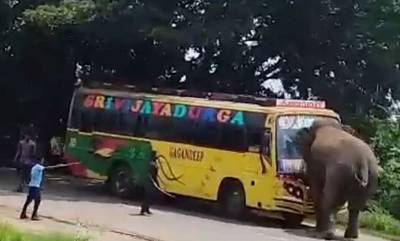 Εξαγριωμένος ελέφαντας επιτίθεται σε λεωφορείο