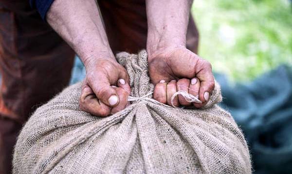 Δήμος στη Μεσσηνία καλεί πλημμυροπαθείς της Θεσσαλίας να δουλέψουν ως εργάτες γης