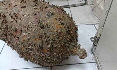 Κορινθία: Αμφορέας βρέθηκε σε θαλάσσια περιοχή του Διμηνιού