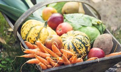 ΕΛΣΤΑΤ: Αυξημένες οι εξαγωγές φρούτων και λαχανικών το οκτάμηνο του 2023
