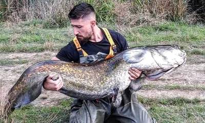 Δείτε το ψάρι-γίγας που έπιασε σε λίμνη της Μεγαλόπολης - Ζυγίζει 70 κιλά! (photos)