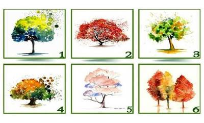 Ψυχολογικό τεστ: Διάλεξε 1 από τα 6 δέντρα και δες τι αποκαλύπτει για την προσωπικότητά σου
