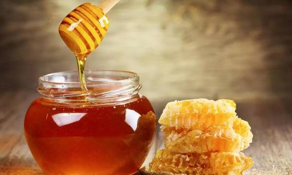 Το μέλι της Πελοποννήσου στο 14ο Φεστιβάλ Ελληνικού Μελιού