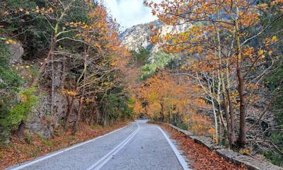 Σπάρτη – Καλαμάτα μέσω Ταϋγέτου, η ομορφότερη ορεινή διαδρομή της Πελοποννήσου 