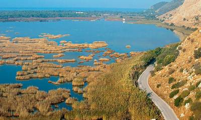Λίμνη Κοτύχι: Ο πιο σημαντικός υδροβιότοπος της Πελοποννήσου