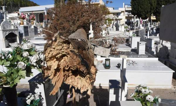 Ανατριχιαστικές φωτογραφίες στο νεκροταφείο του Άργους με πτώσεις ολόκληρων δέντρων σε μνήματα