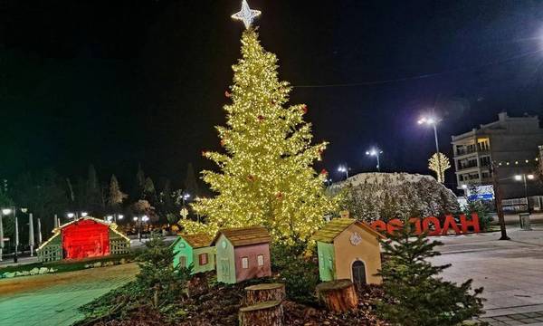 Τρίπολη: Τι θα γίνει φέτος με τα χριστουγεννιάτικα δέντρα στο κέντρο της πόλης;