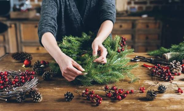 8 Χριστουγεννιάτικα γιορτινά φυτά, ιδανικά για τον Χριστουγεννιάτικο στολισμό