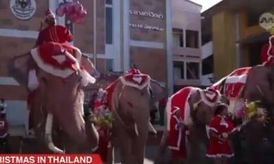 Ελέφαντες ντυμένοι Αϊ-Βασίληδες μοίρασαν δώρα σε μαθητές στην Ταϊλάνδη