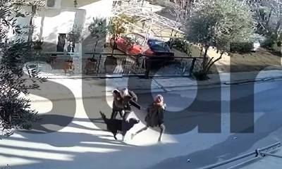 Βίντεο ντοκουμέντο: Η στιγμή της επίθεσης του σκύλου στο 9χρονο αγόρι στο Καματερό