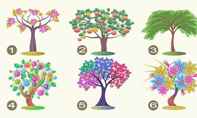 Τεστ προσωπικότητας: Τι αποκαλύπτει το δέντρο που επιλέγετε για τα κυρίαρχα χαρακτηριστικά σας