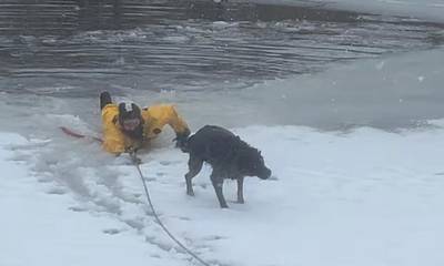 Πυροσβέστες σώζουν σκύλο που έχει παγιδευτεί σε παγωμένη λίμνη