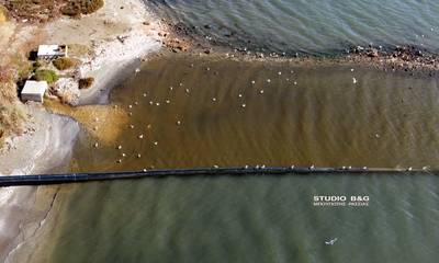 Μεγάλη θαλάσσια ρύπανση στον Αργολικό κόλπο (photos - video)
