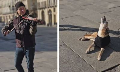 Ταλαντούχος σκύλος... τενόρος συνοδεύει βιολονίστα