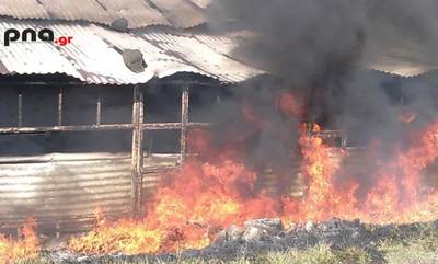 Τρίπολη: Φωτιά σε καλύβι στην Μαντινεία – Νεκρός ηλικιωμένος
