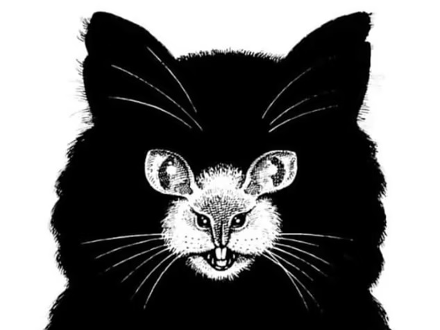 personality-test-optical-illusion-cat-mouse.jpg
