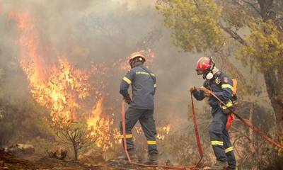 Αμαλιάδα: Φωτιά σε δασική έκταση στο Κρυονέρι