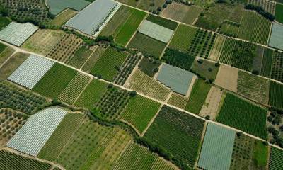 Δήμος Βόρειας Κυνουρίας: Έρευνα διάρθρωσης γεωργικών και κτηνοτροφικών εκμεταλλεύσεων