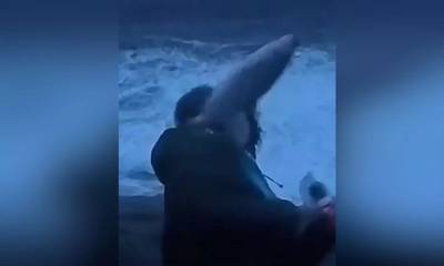 Νορβηγία: Δημοσιογράφος δέχθηκε επίθεση από ιπτάμενο ψάρι σε ζωντανή σύνδεση (video)