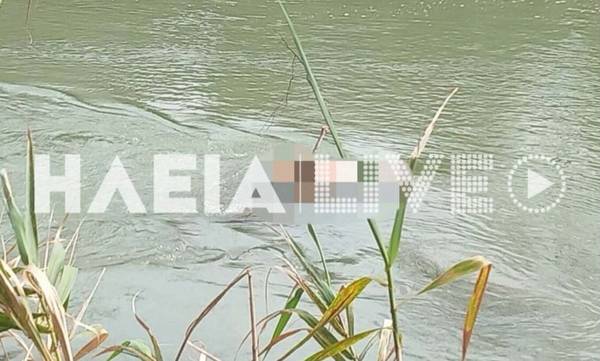 Συναγερμός στην Ηλεία: Εντοπίστηκε πτώμα στον ποταμό Αλφειό