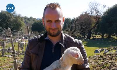 Η ζωή ενός κτηνοτρόφου στα βουνά της Ελλάδας - Σπάνια πρόβατα, άγρια ομορφιά και αισιοδοξία (video)