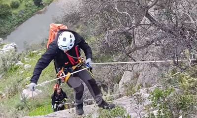 Λακωνία: Κατσικάκι εγκλωβίστηκε 3 ημέρες - Επιχείρηση Πυροσβεστών σε απόκρημνο βράχο 50 μέτρων