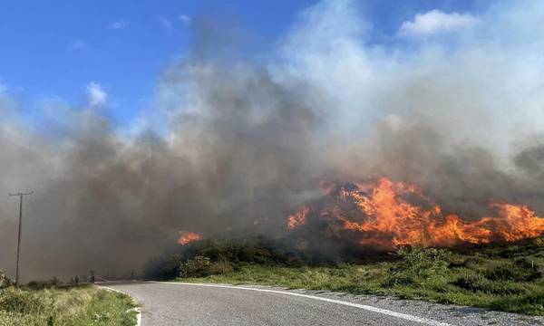Μονεμβασία: Φωτιά μεταξύ Αγίου Μάμμα και Κουλέντια (photos)