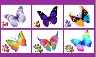 Τεστ προσωπικότητας: Επίλεξε μία από τις έξι πεταλούδες και δες τι κρύβει για σένα!