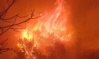 Μεσσηνία: Χωρίς ενεργό μέτωπο η φωτιά στον Ταΰγετο - Εκκενώθηκε προληπτικά οικισμός (photos)