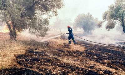 Σπάρτη: Πρόστιμα 3.000€ γιατί προκάλεσαν πυρκαγιά ή δεν έλαβαν μέτρα