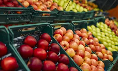 Αυξημένες κατά 36,96% οι εισαγωγές φρούτων και λαχανικών τον Μάρτιο 2024