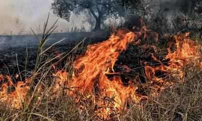Απαγόρευση καύσης στην Περιφέρεια Πελοποννήσου από τις 15 Απριλίου