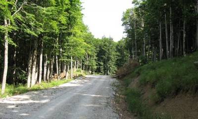 Απαγορεύεται να περάσετε και να παραμείνετε στα δάση Λακωνίας, Κορινθίας και Αργολίδας - Δείτε γιατί
