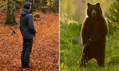 Άνδρας ή Αρκούδα: Η viral ερώτηση στα social media με την απρόσμενη απάντηση