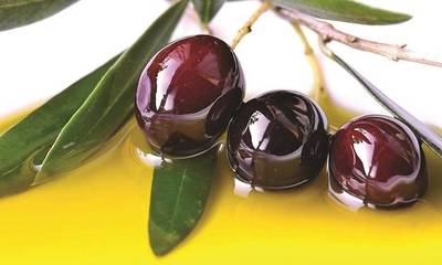 «Μόνο πιστοποιημένες επιχειρήσεις μπορούν να κάνουν χρήση των «Ελιά Καλαμάτας» και «Kalamata Olives»