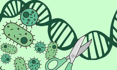 Πώς μπορεί το CRISPR να εξαλείψει τη μικροβιακή αντοχή;