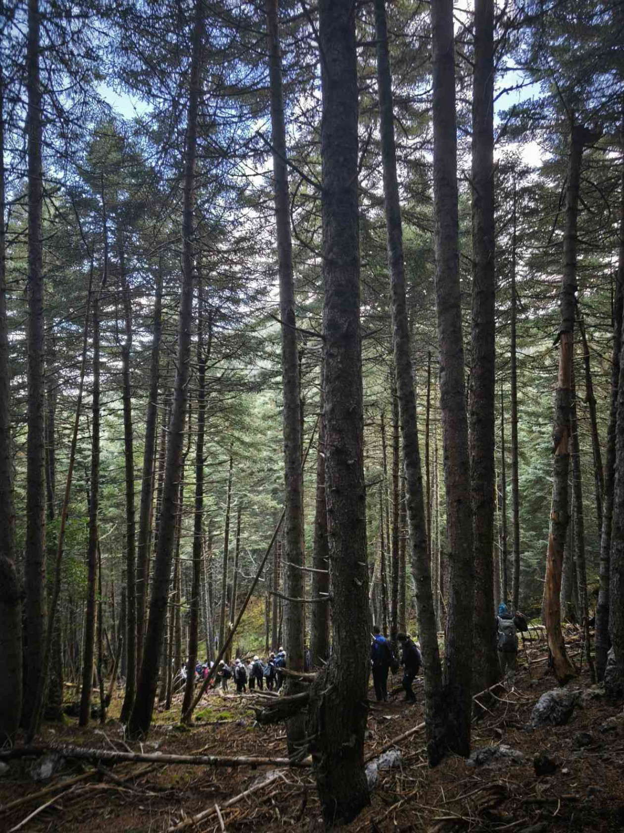 https://cdn.np-media.gr/media/news/2026/10/16/132736/photos/snapshot/saoo-anatoliko-mainalo-pezoporia-levidi-2026-9.jpg