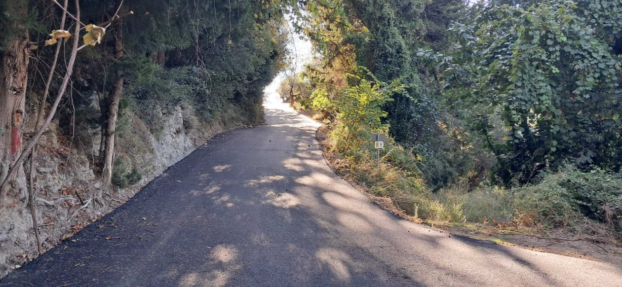 https://cdn.np-media.gr/media/news/2026/10/16/132749/photos/snapshot/sparti-trypi-asfaltostrosi-dromou-deyas-10.jpg
