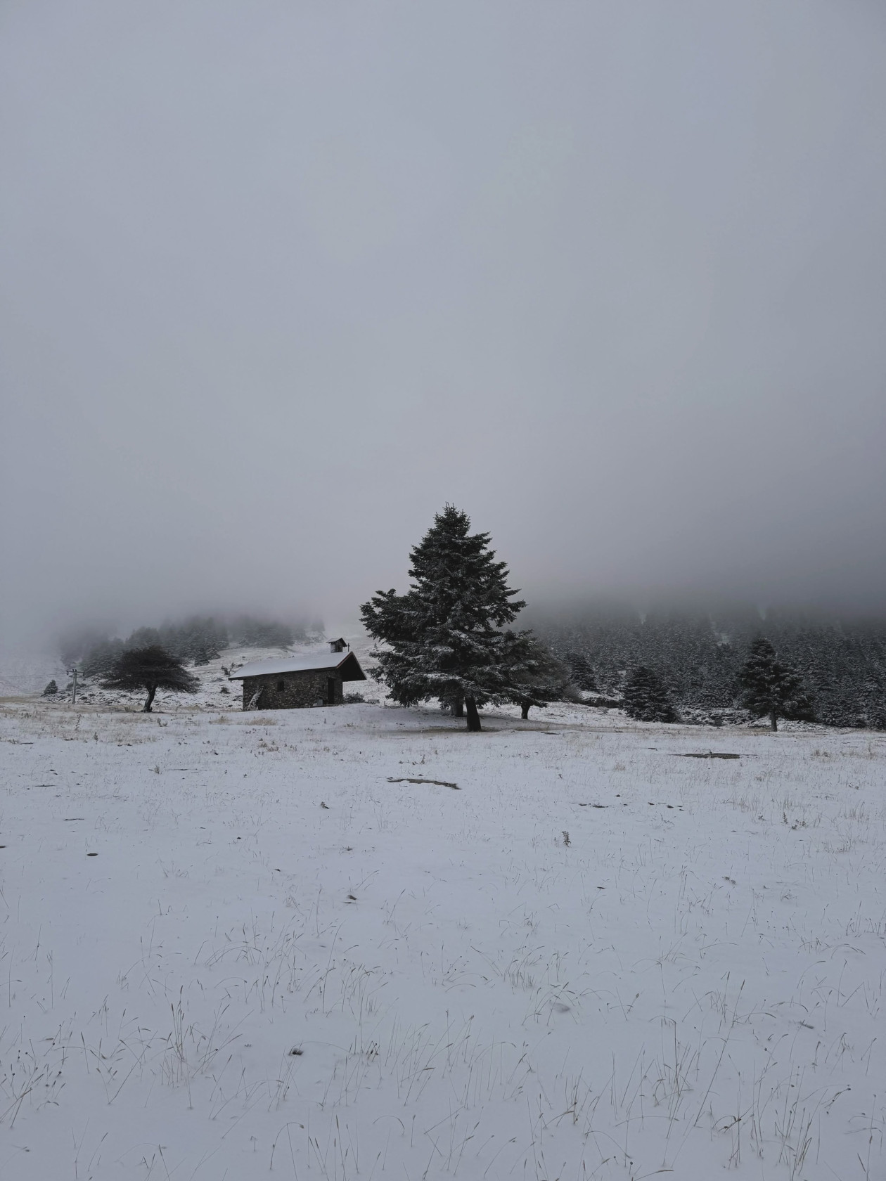 https://cdn.np-media.gr/media/news/2026/10/17/132765/photos/snapshot/KALAVRYTA-3.jpg