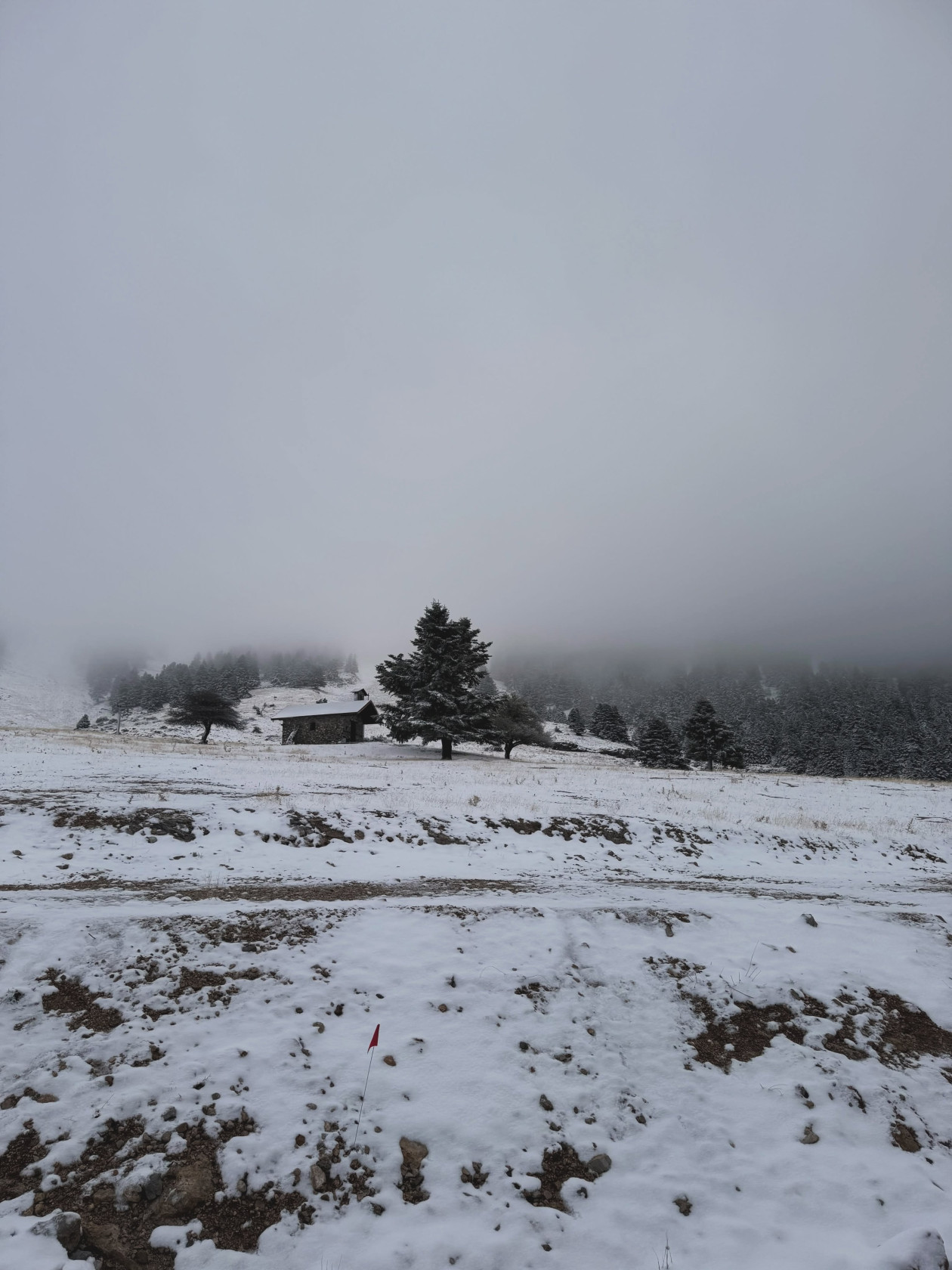 https://cdn.np-media.gr/media/news/2026/10/17/132765/photos/snapshot/KALAVRYTA-6.jpg