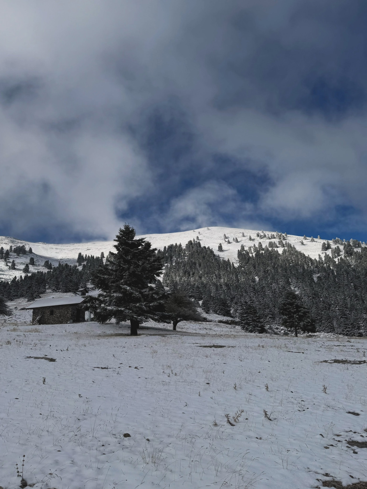 https://cdn.np-media.gr/media/news/2026/10/17/132765/photos/snapshot/KALAVRYTA-8.jpg