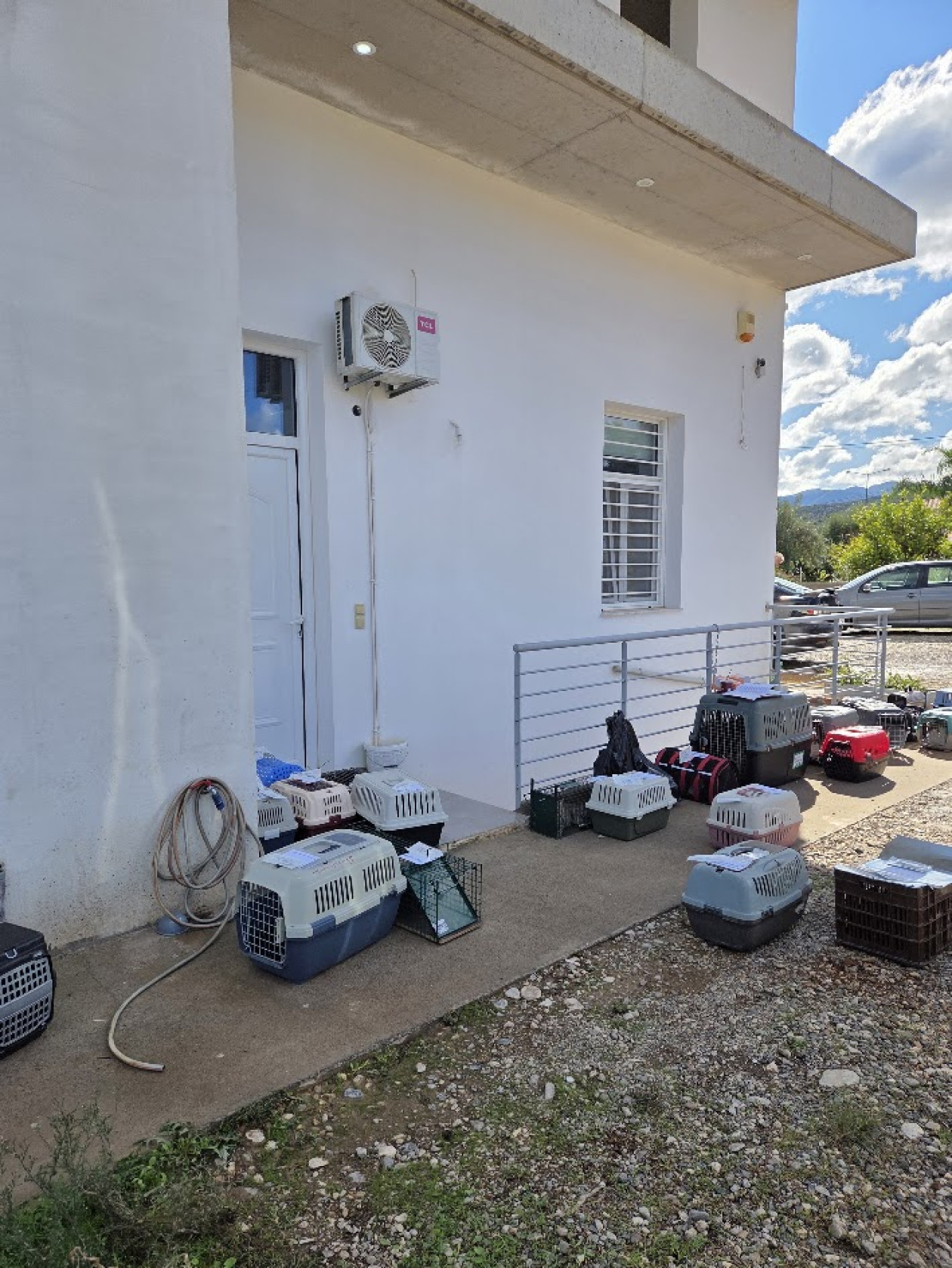 https://cdn.np-media.gr/media/news/2026/10/19/132820/photos/snapshot/voreia-kynouria-100-adespotes-gates-steiroseis-2026-2.jpg