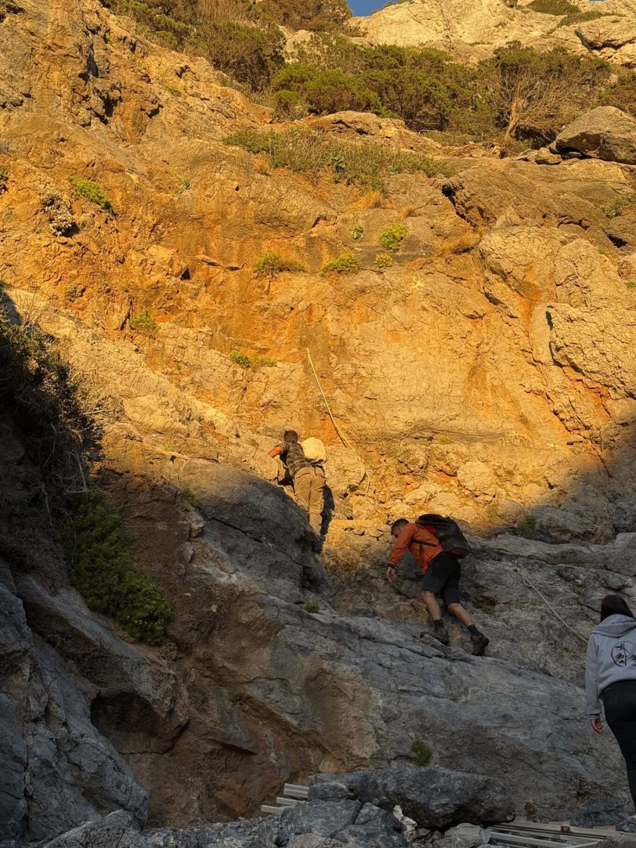 https://cdn.np-media.gr/media/news/2026/10/20/132841/photos/snapshot/kythira-travmatismeni-fokia-diasosi-kalami-5.jpg