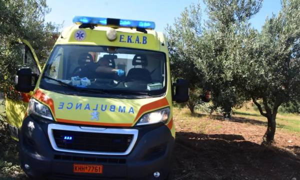 Ηλεία: 73χρονος εντοπίστηκε νεκρός σε ελαιώνα - Μάζευε μόνος τις ελιές του