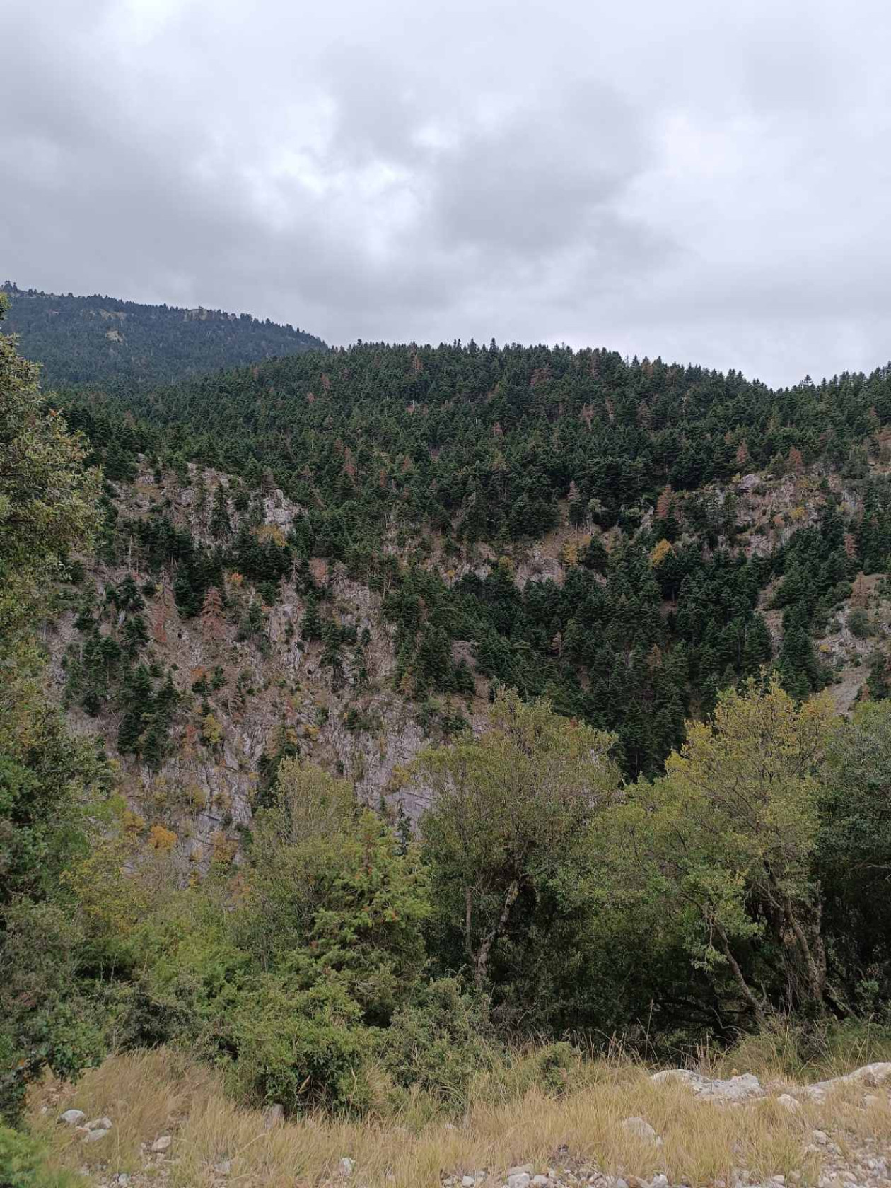 https://cdn.np-media.gr/media/news/2026/10/27/132993/photos/snapshot/saoo-ntourntouvana-vraxia-limni-doxa-2026-11.jpg