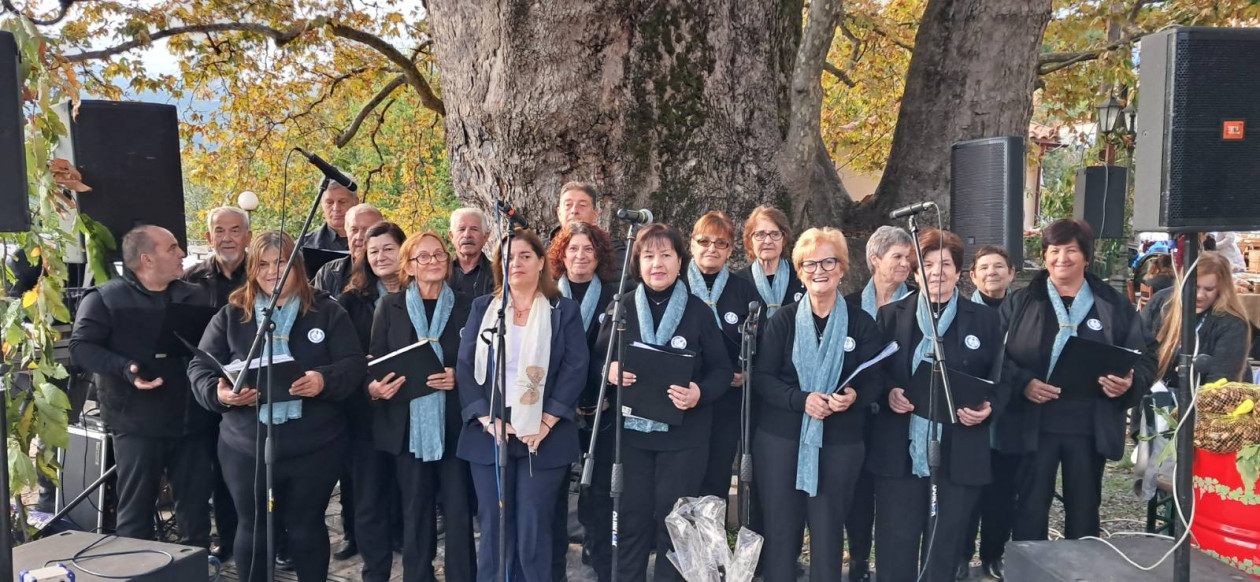 https://cdn.np-media.gr/media/news/2026/10/30/133043/photos/snapshot/arna-giorti-kastanou-egkainia-2026-3.jpg